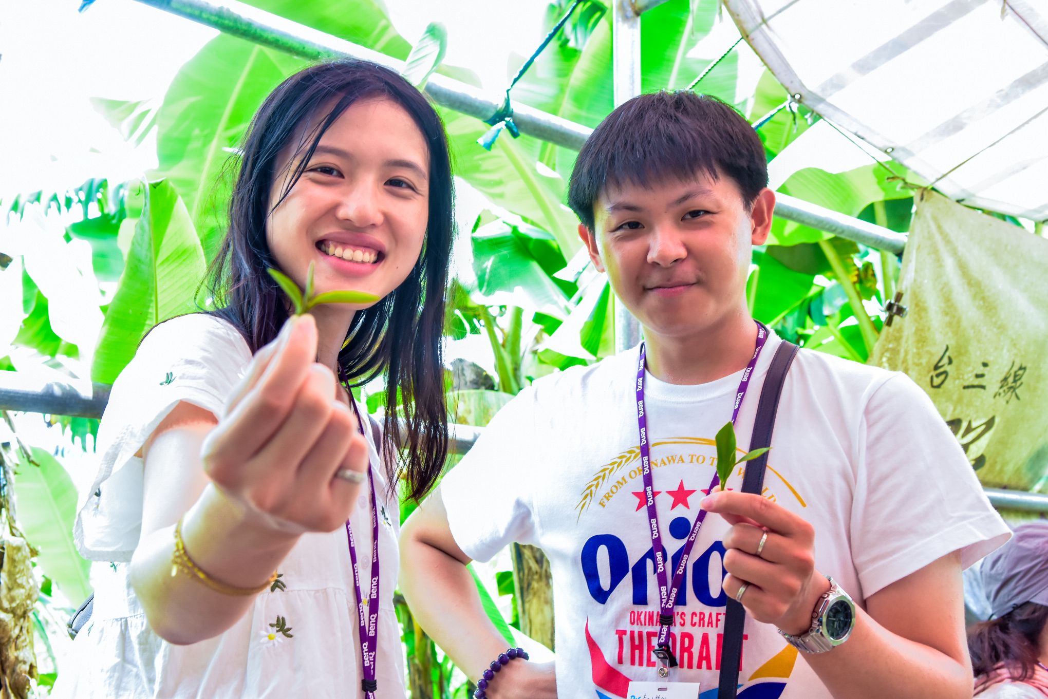 <br />
<b>Notice</b>:  Undefined index: msg_title in <b>/home/gibenqfo/public_html/modules/feature-slider_benq_detail.php</b> on line <b>54</b><br />
