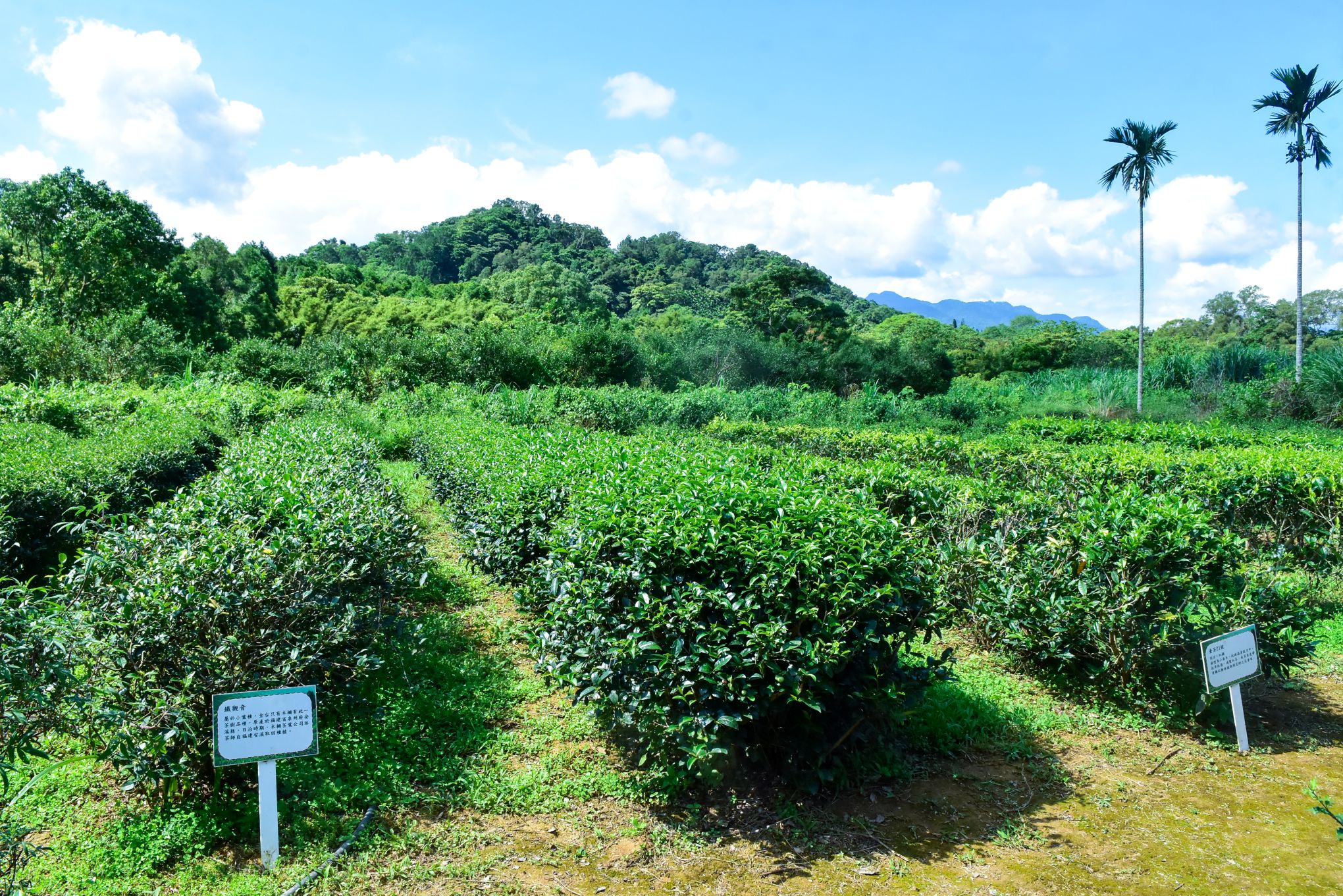 <br />
<b>Notice</b>:  Undefined index: msg_title in <b>/home/gibenqfo/public_html/modules/feature-slider_benq_detail.php</b> on line <b>54</b><br />
