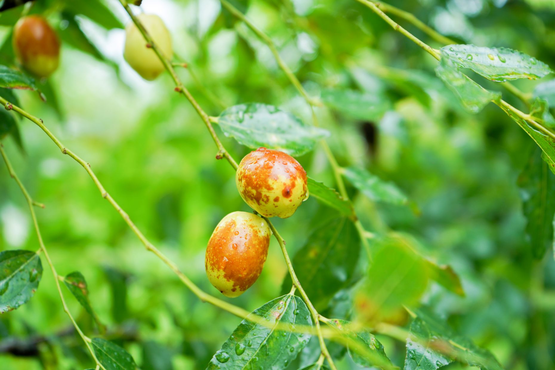 <br />
<b>Notice</b>:  Undefined index: msg_title in <b>/home/gibenqfo/public_html/modules/feature-slider_benq_detail.php</b> on line <b>54</b><br />
