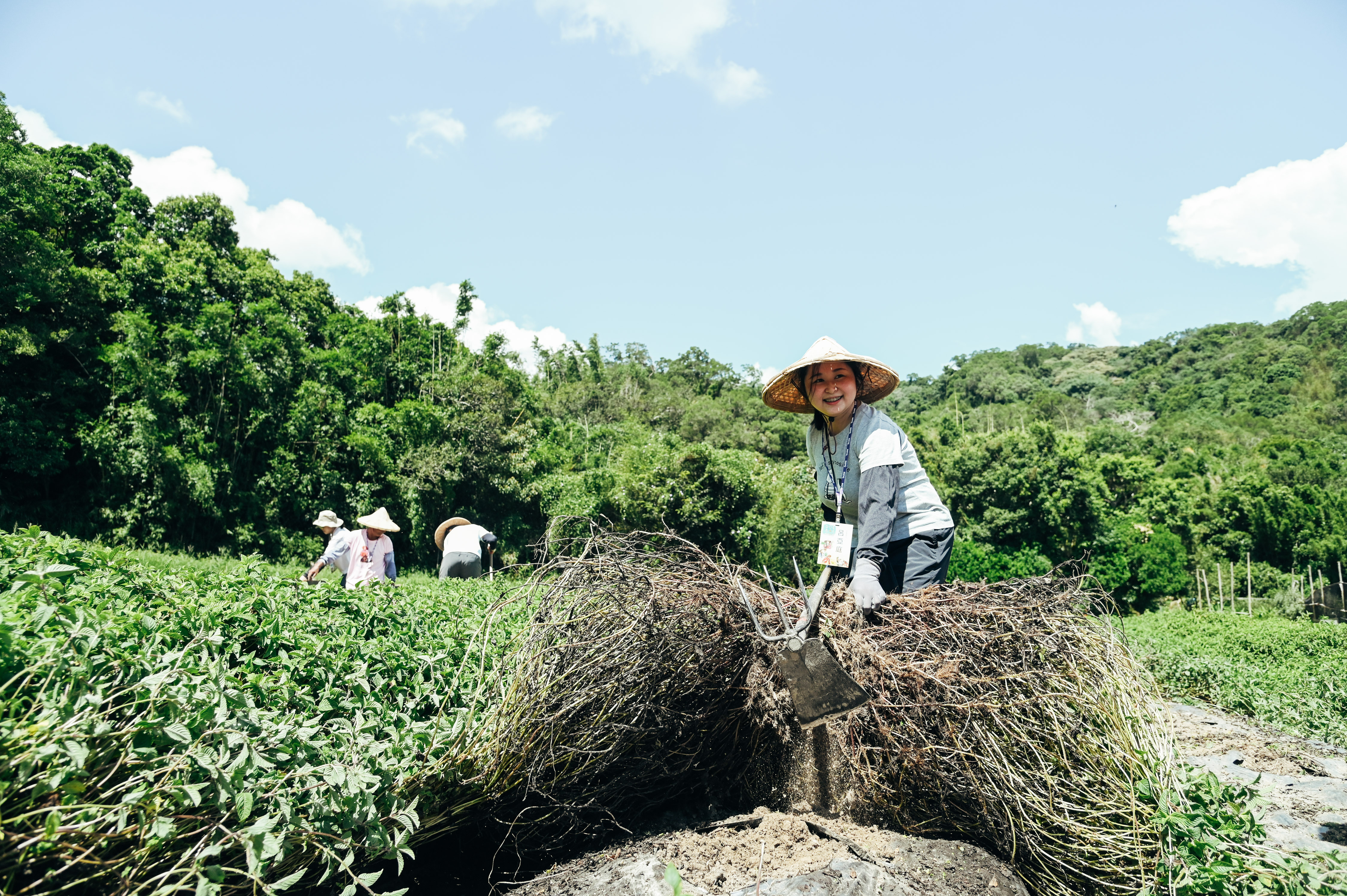 <br />
<b>Notice</b>:  Undefined index: msg_title in <b>/home/gibenqfo/public_html/modules/feature-slider_benq_detail.php</b> on line <b>54</b><br />
