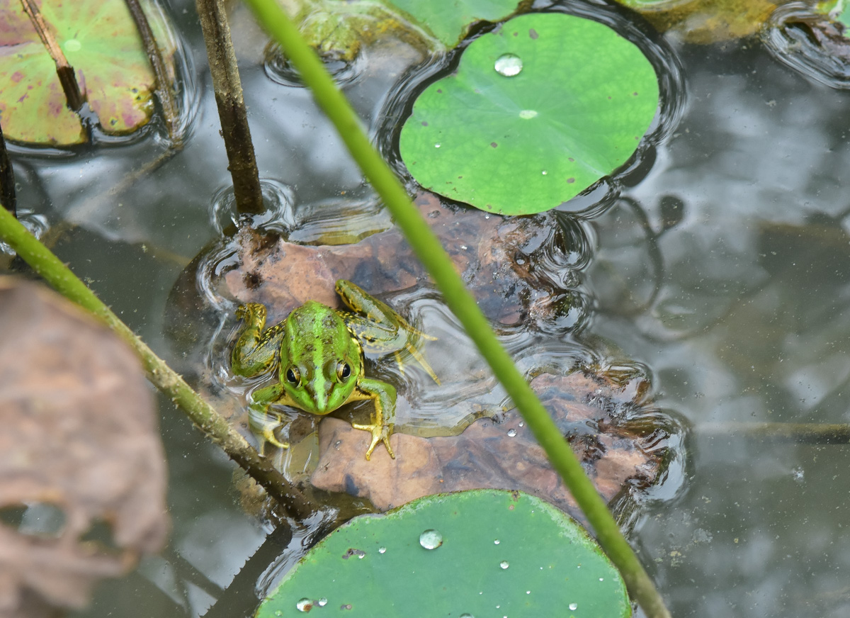 <br />
<b>Notice</b>:  Undefined index: msg_title in <b>/home/gibenqfo/public_html/modules/feature-slider_benq_detail.php</b> on line <b>54</b><br />
