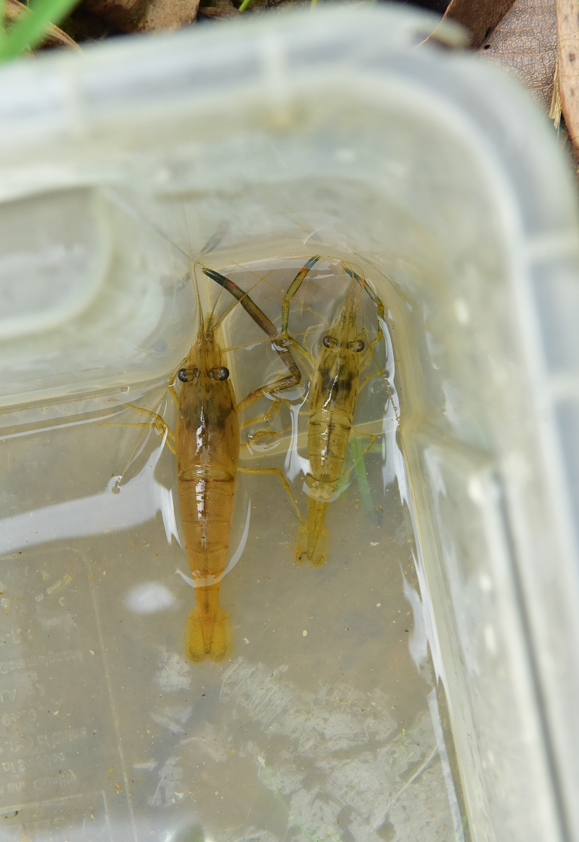 <br />
<b>Notice</b>:  Undefined index: msg_title in <b>/home/gibenqfo/public_html/modules/feature-slider_benq_detail.php</b> on line <b>54</b><br />
