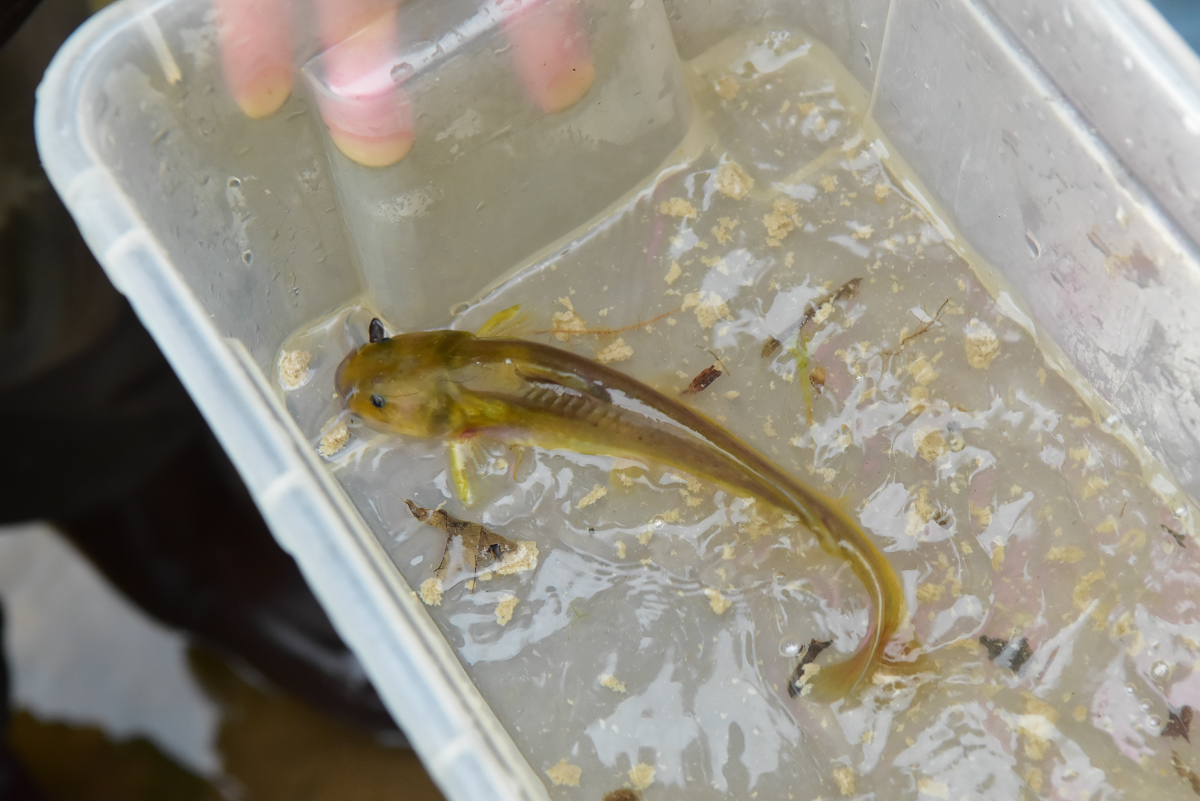 <br />
<b>Notice</b>:  Undefined index: msg_title in <b>/home/gibenqfo/public_html/modules/feature-slider_benq_detail.php</b> on line <b>54</b><br />
