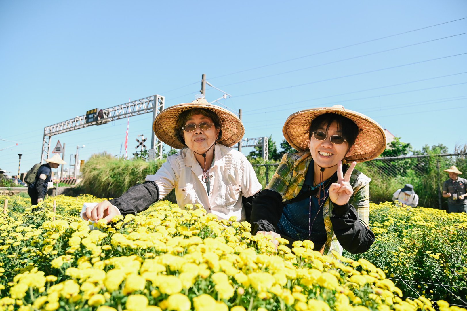 <br />
<b>Notice</b>:  Undefined index: msg_title in <b>/home/gibenqfo/public_html/modules/feature-slider_benq_detail.php</b> on line <b>54</b><br />
