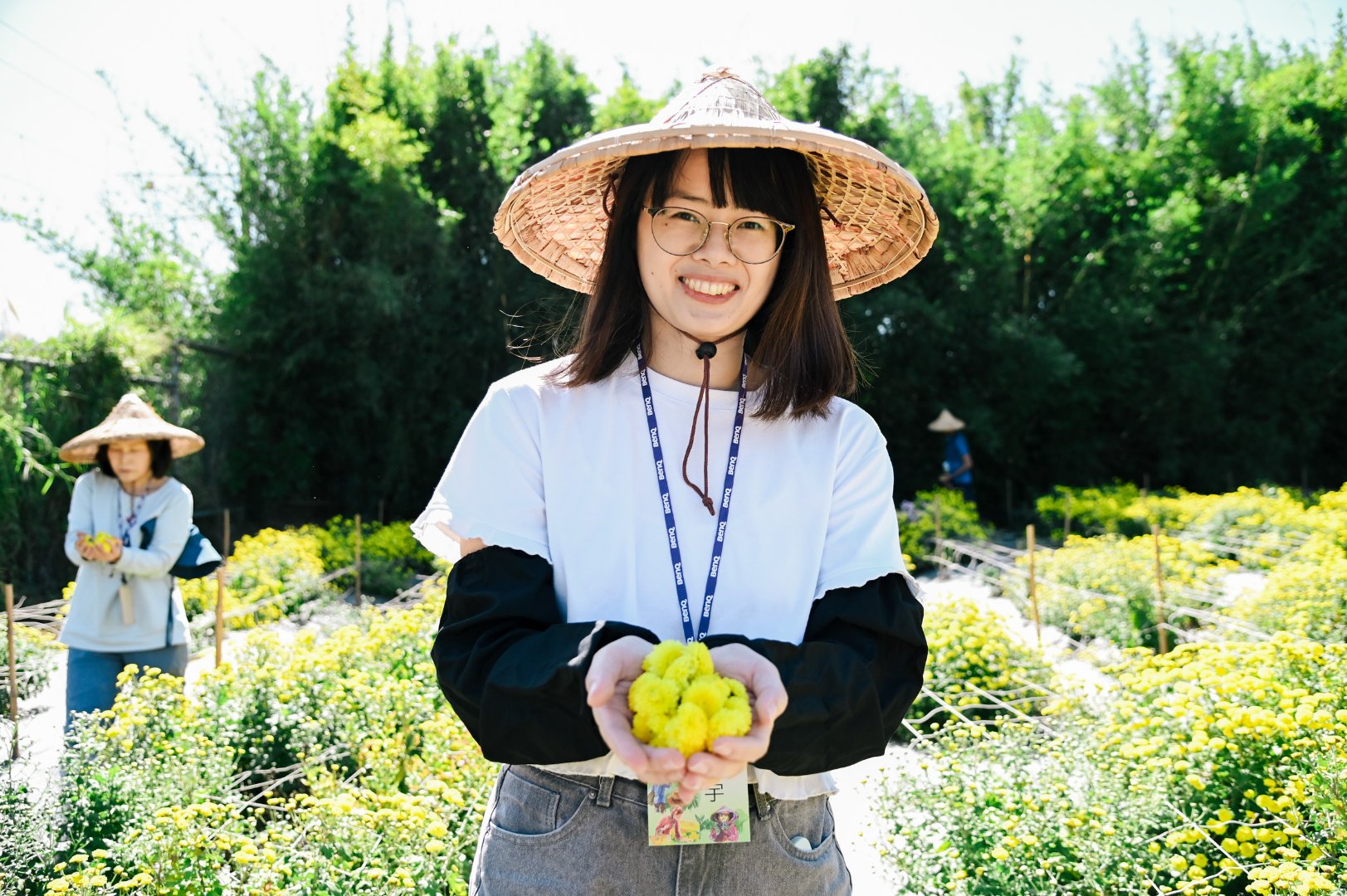 <br />
<b>Notice</b>:  Undefined index: msg_title in <b>/home/gibenqfo/public_html/modules/feature-slider_benq_detail.php</b> on line <b>54</b><br />
