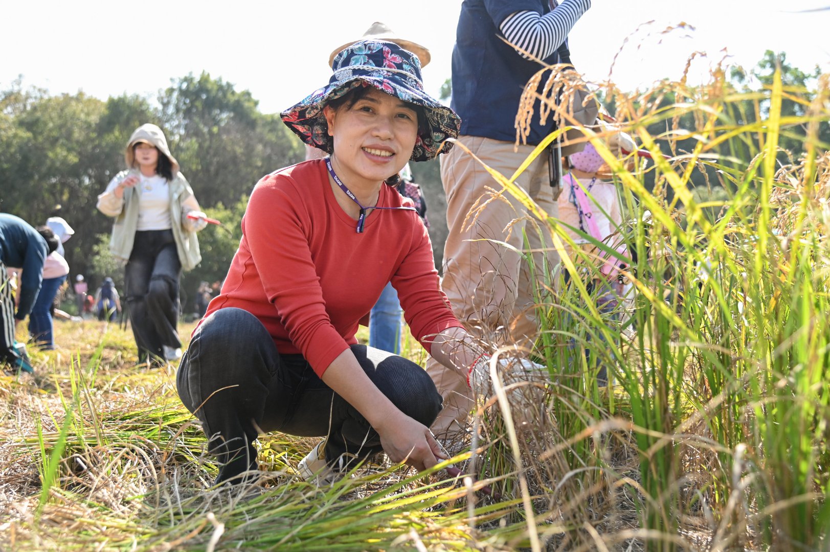 <br />
<b>Notice</b>:  Undefined index: msg_title in <b>/home/gibenqfo/public_html/modules/feature-slider_benq_detail.php</b> on line <b>54</b><br />
