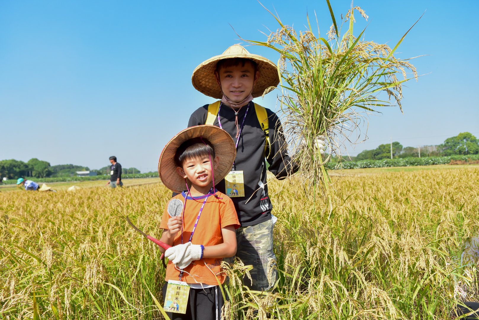 <br />
<b>Notice</b>:  Undefined index: msg_title in <b>/home/gibenqfo/public_html/modules/feature-slider_benq_detail.php</b> on line <b>54</b><br />
