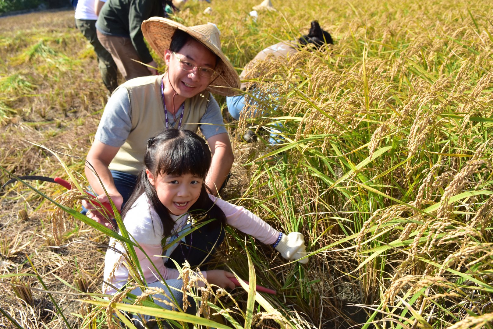 <br />
<b>Notice</b>:  Undefined index: msg_title in <b>/home/gibenqfo/public_html/modules/feature-slider_benq_detail.php</b> on line <b>54</b><br />
