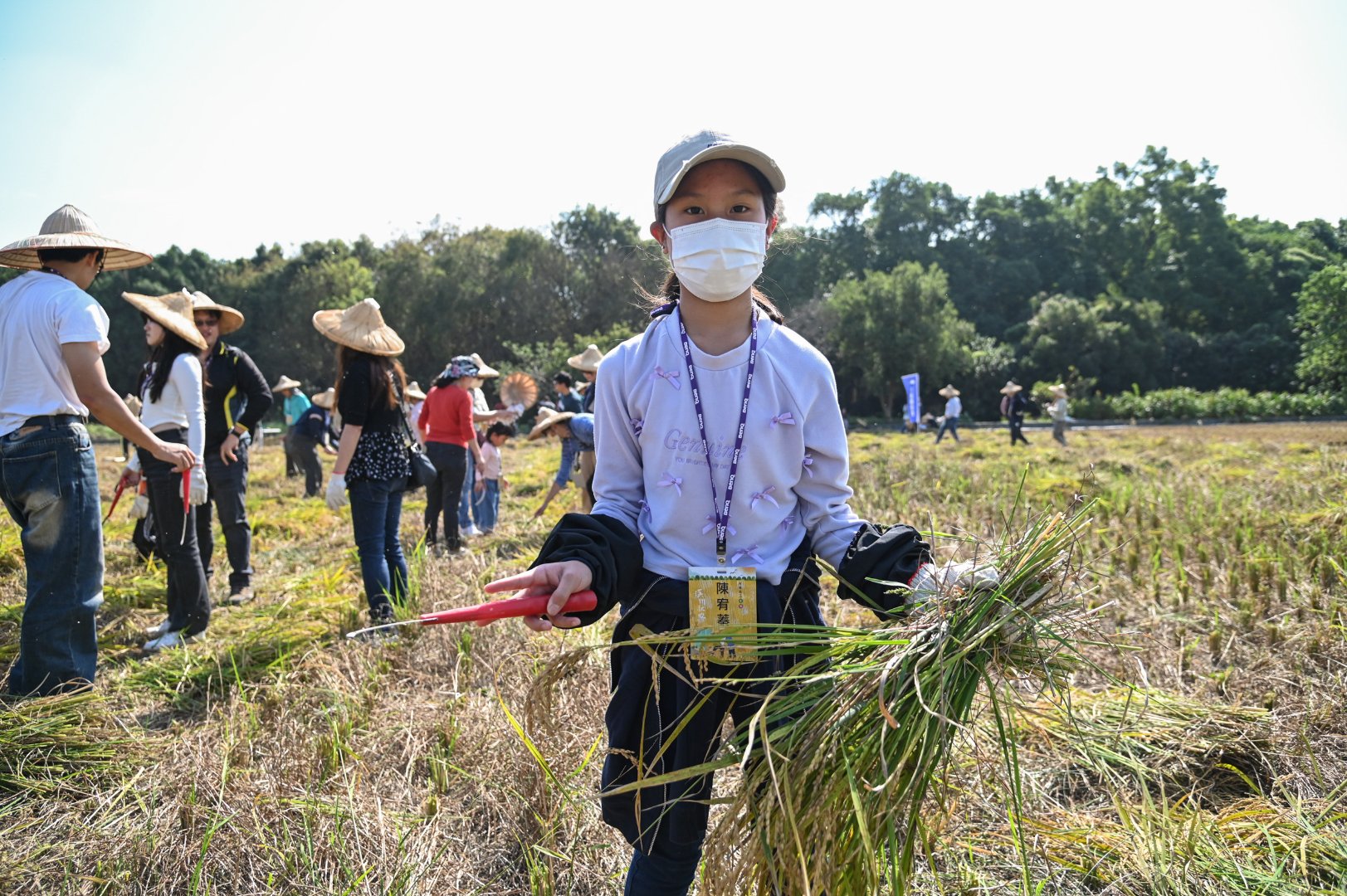 <br />
<b>Notice</b>:  Undefined index: msg_title in <b>/home/gibenqfo/public_html/modules/feature-slider_benq_detail.php</b> on line <b>54</b><br />
