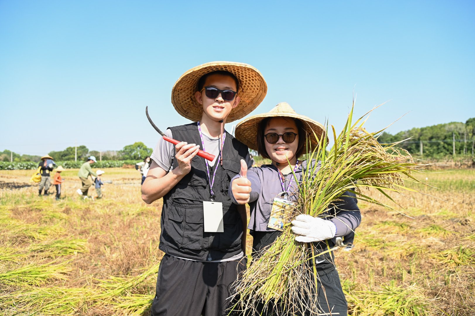 <br />
<b>Notice</b>:  Undefined index: msg_title in <b>/home/gibenqfo/public_html/modules/feature-slider_benq_detail.php</b> on line <b>54</b><br />
