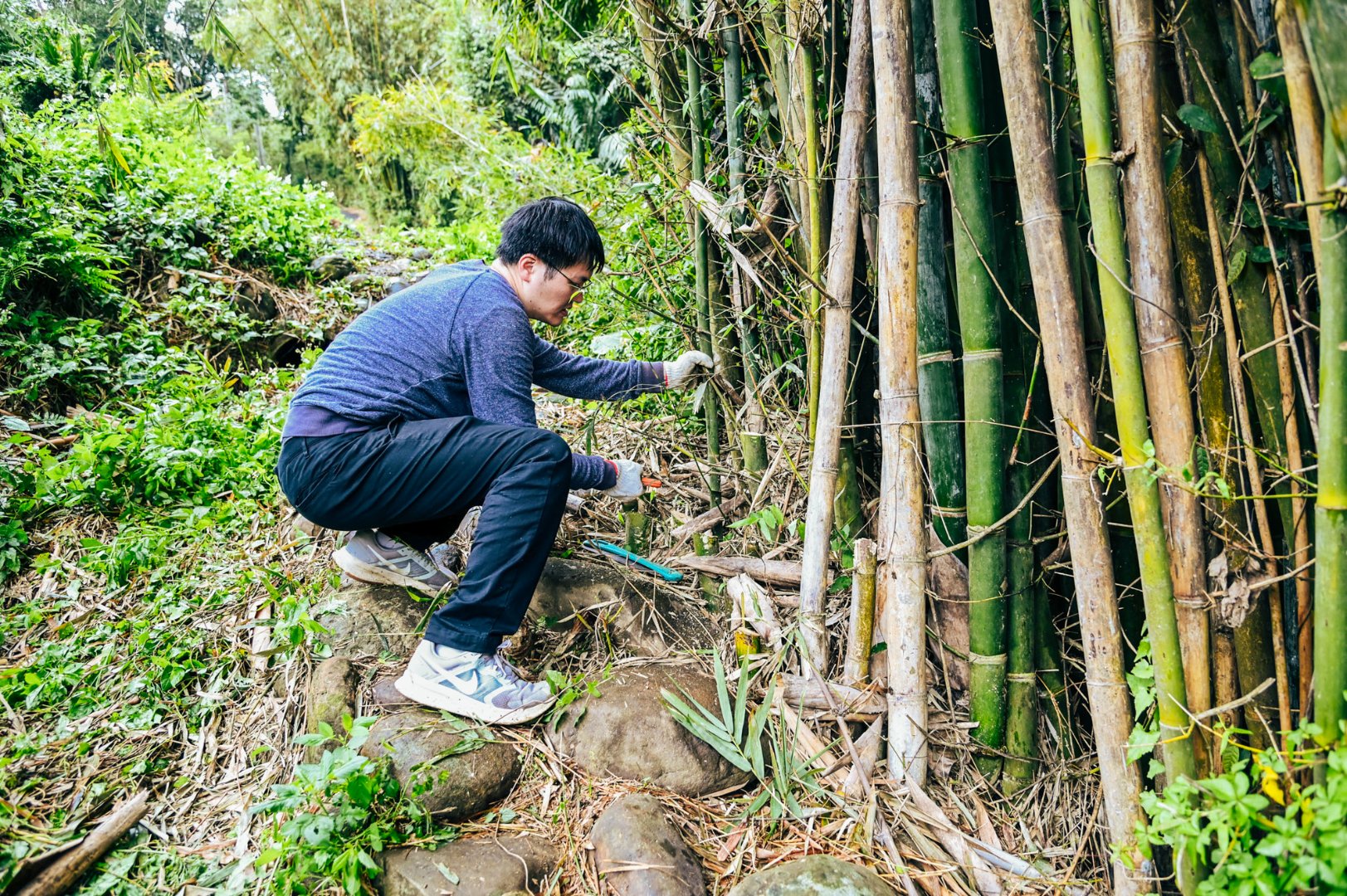 <br />
<b>Notice</b>:  Undefined index: msg_title in <b>/home/gibenqfo/public_html/modules/feature-slider_benq_detail.php</b> on line <b>54</b><br />
