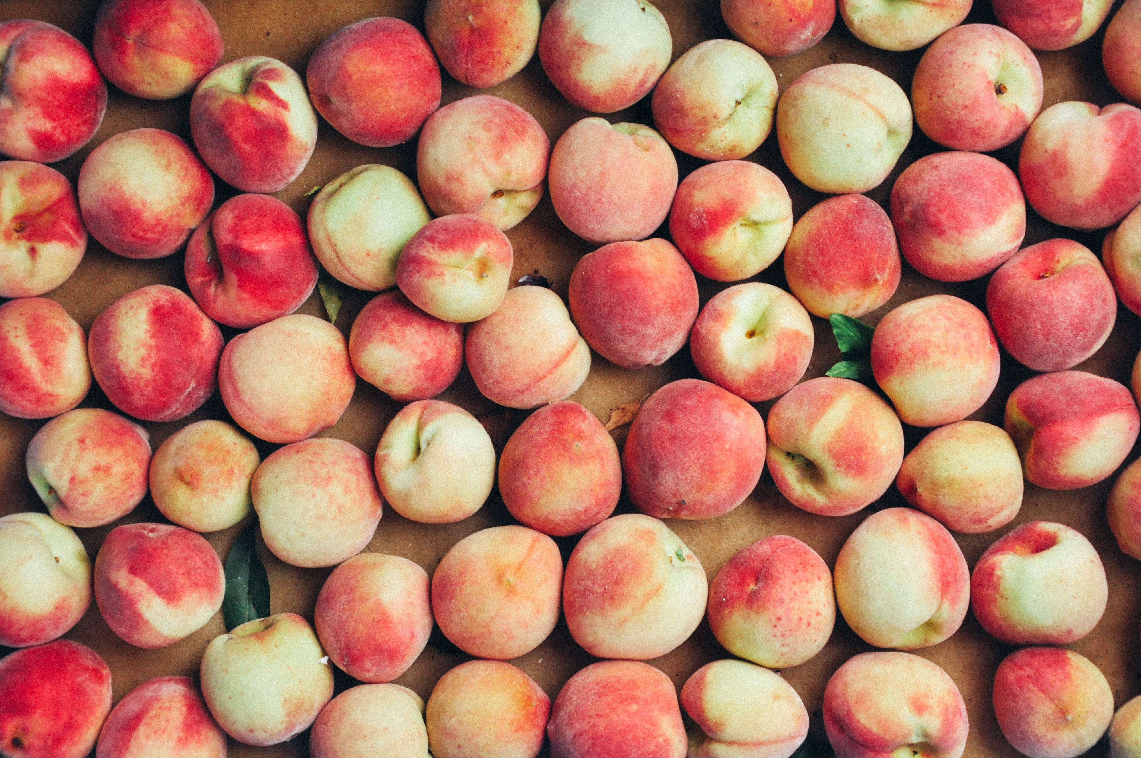 「馬里光五月桃」線上特賣  品嚐善耕土地的甘甜獻禮