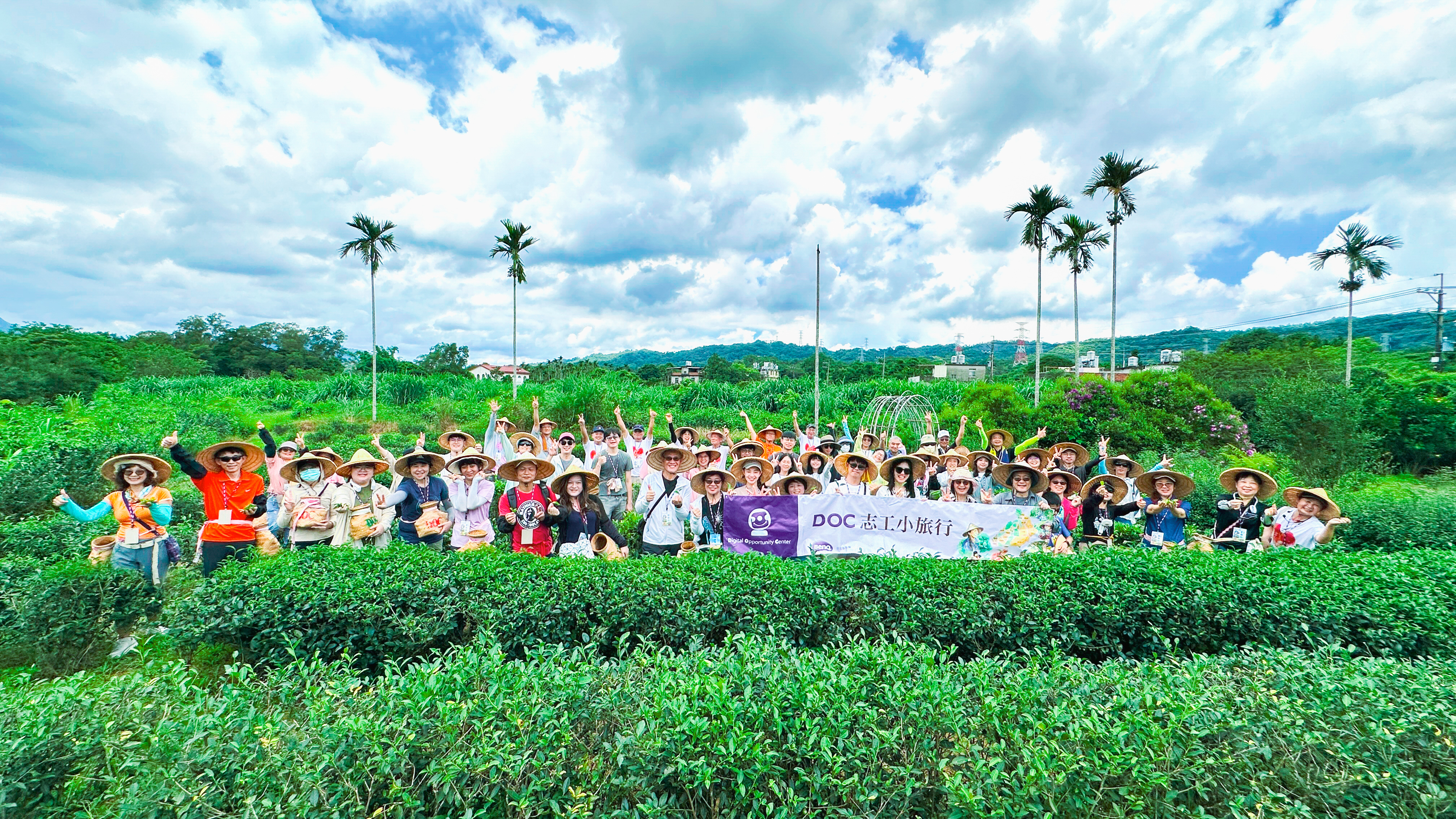 2025《DOC志工小旅行 No.2》彎腰手摘一心二葉　紅寶茶鄉實踐自然共生