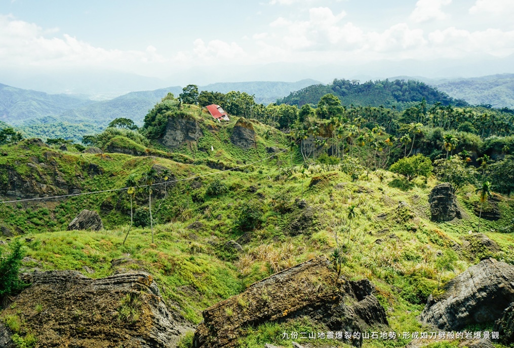 2024 徵求志工上山植樹  九份二山造林永續土地行動